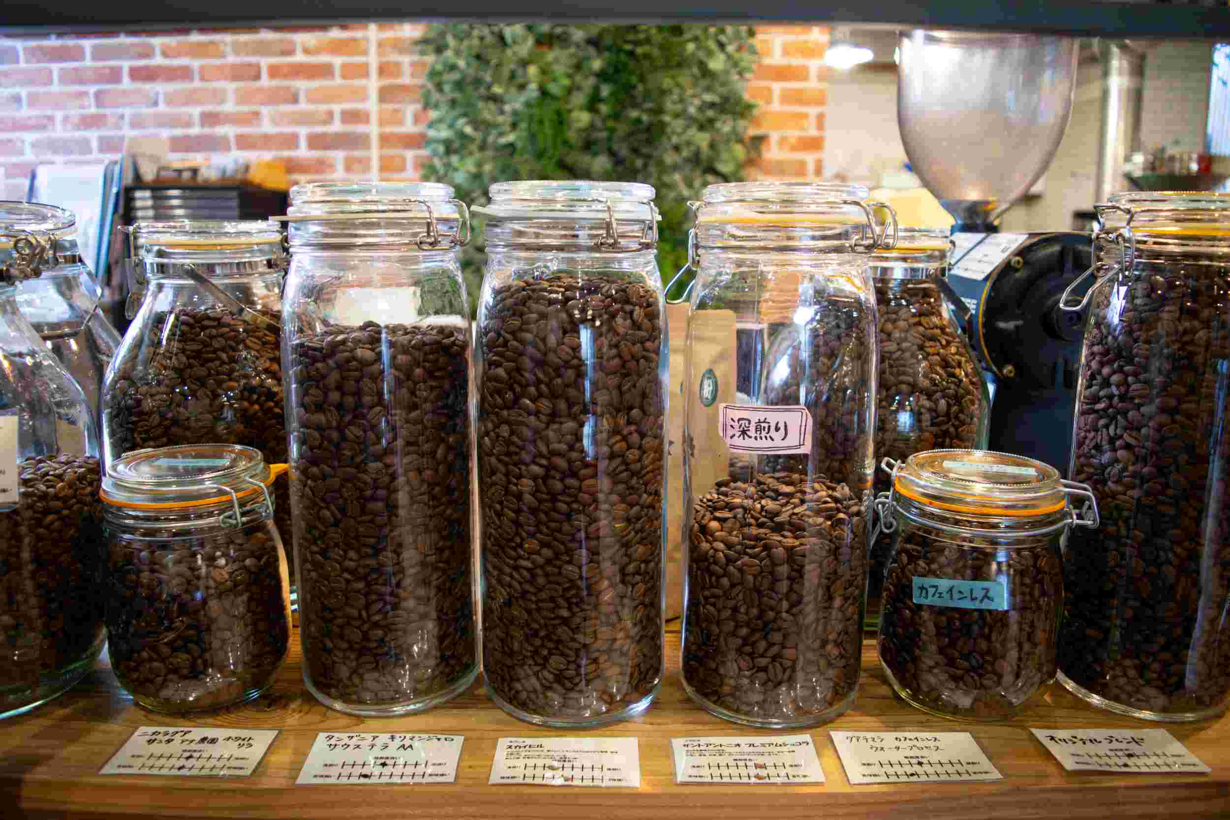 今月のコーヒー